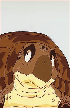 거북이